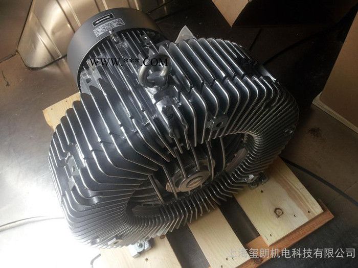 西门子鼓风机 2BH1900-7AH17环形鼓风机图3