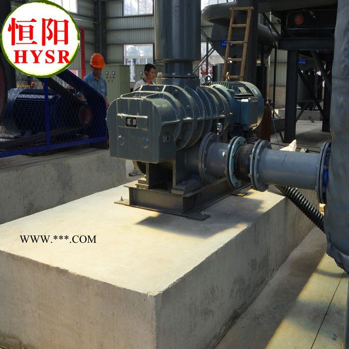 供应三叶鼓风机图3