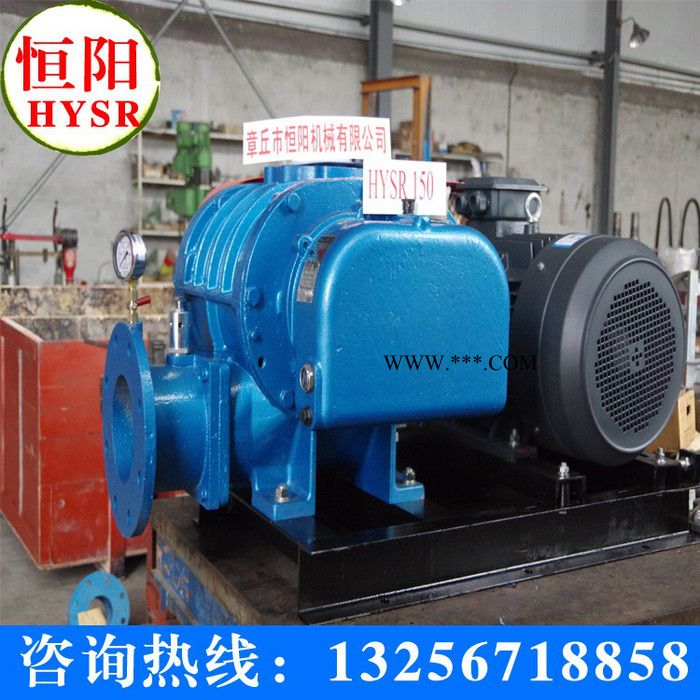 供应气力输送罗茨鼓风机，图2