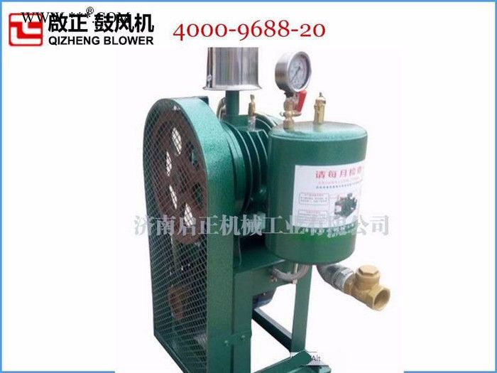 直销启牌 立式HCC【301S滑片式鼓风机】滑片风机 回转式鼓风机图3