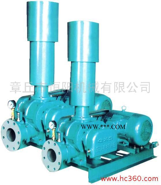 供应增压泵/恒阳罗茨风机罗茨鼓风机图3