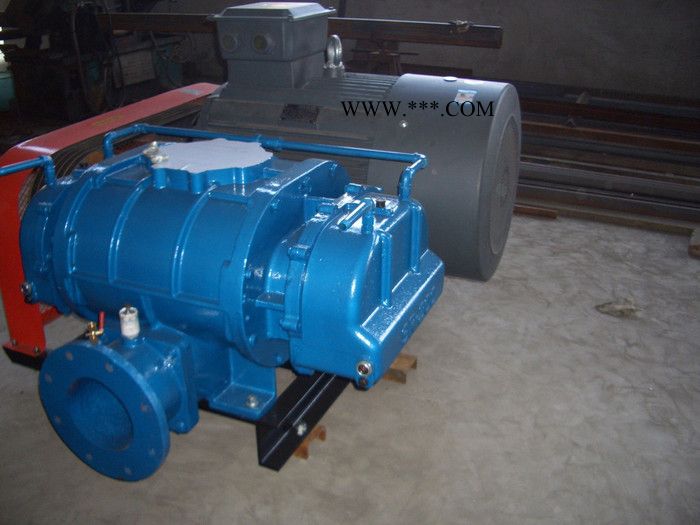 供应恒阳HYSR罗茨鼓风机，罗茨真空泵图2