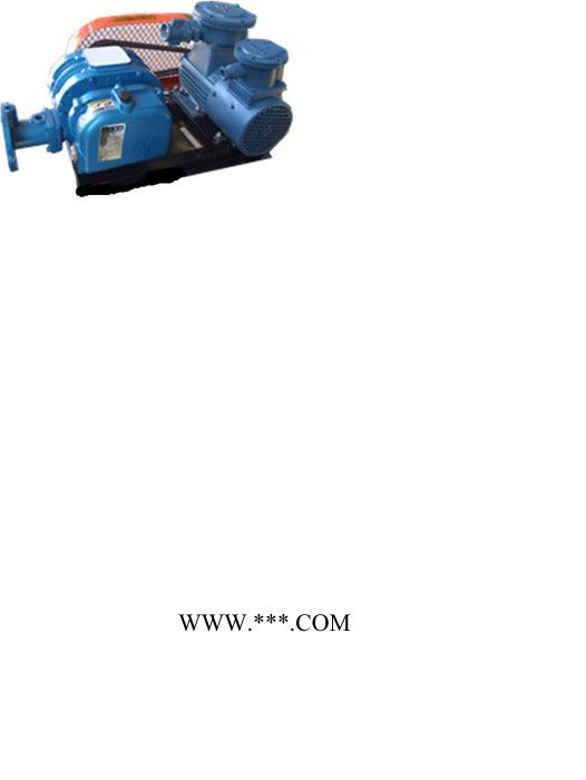 供应恒阳HYSR罗茨鼓风机，罗茨真空泵图3