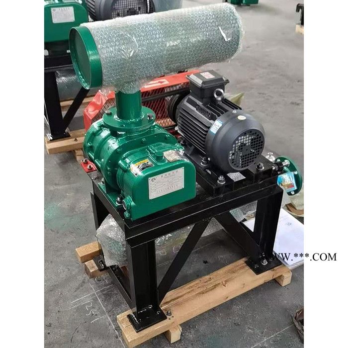 和立HLSR 鼓风机 罗茨鼓风机 双级串联罗茨风机 直联型罗茨风机优品出售 现货图5