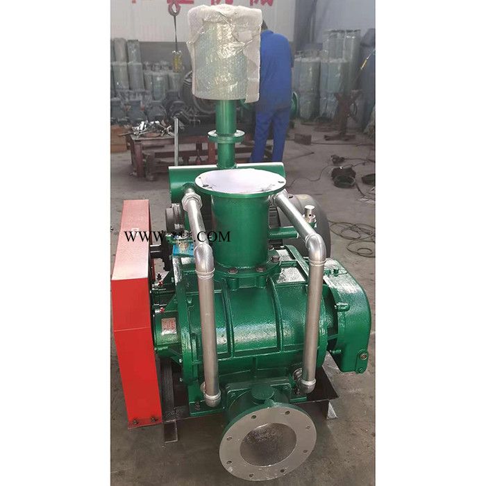 和立HLSR 鼓风机 罗茨鼓风机 双级串联罗茨风机 直联型罗茨风机优品出售 现货图2