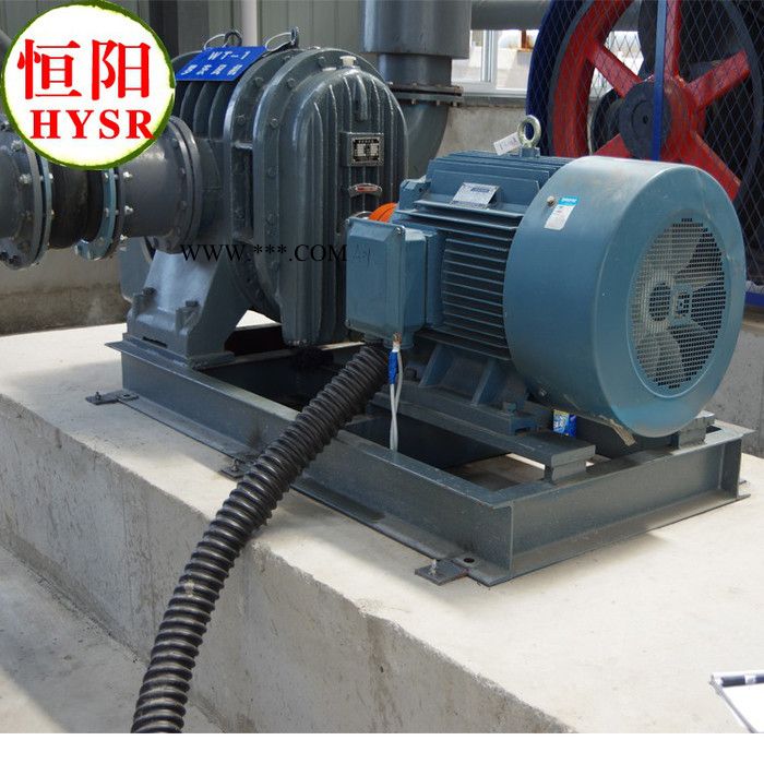 供应恒阳HYSR80罗茨鼓风机加工/图3