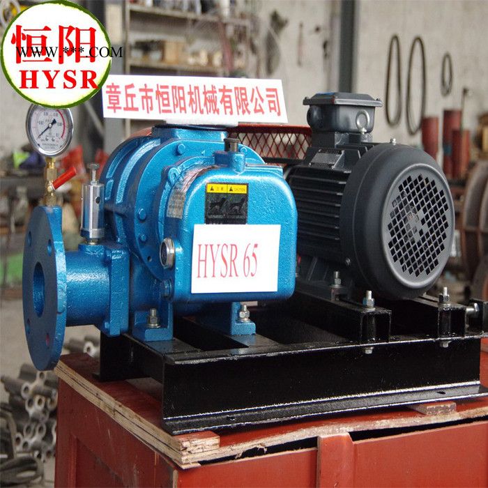 供应恒阳HYSR80罗茨鼓风机加工/图2