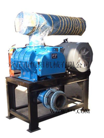 供应HYSR型三叶罗茨鼓风机图2