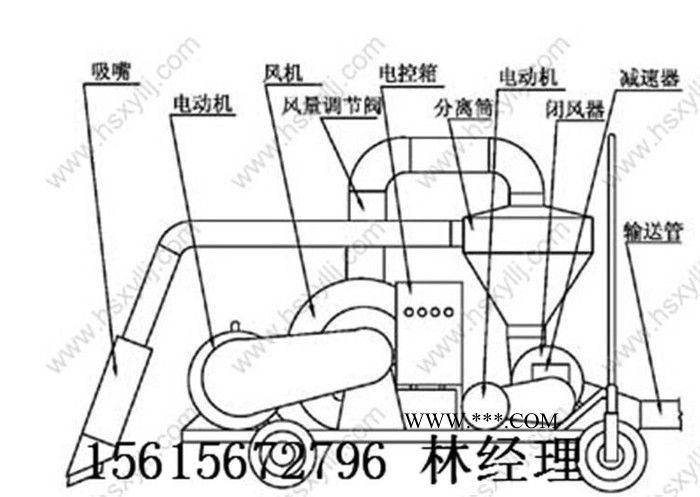 气力输送罗茨鼓风机 气力输送鼓风机 码头专用大型吸粮机A图5