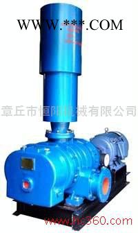 供应恒阳300章丘罗茨鼓风机三叶/罗茨风机图2