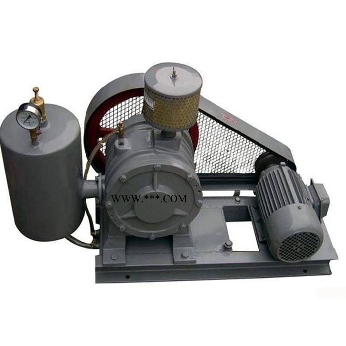 鸿广 供应 静音回转式鼓风机 回转风机参数 回转风机厂家图8