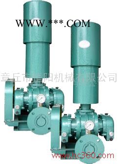 供应恒阳HYSR300高效三叶罗茨鼓风机图3