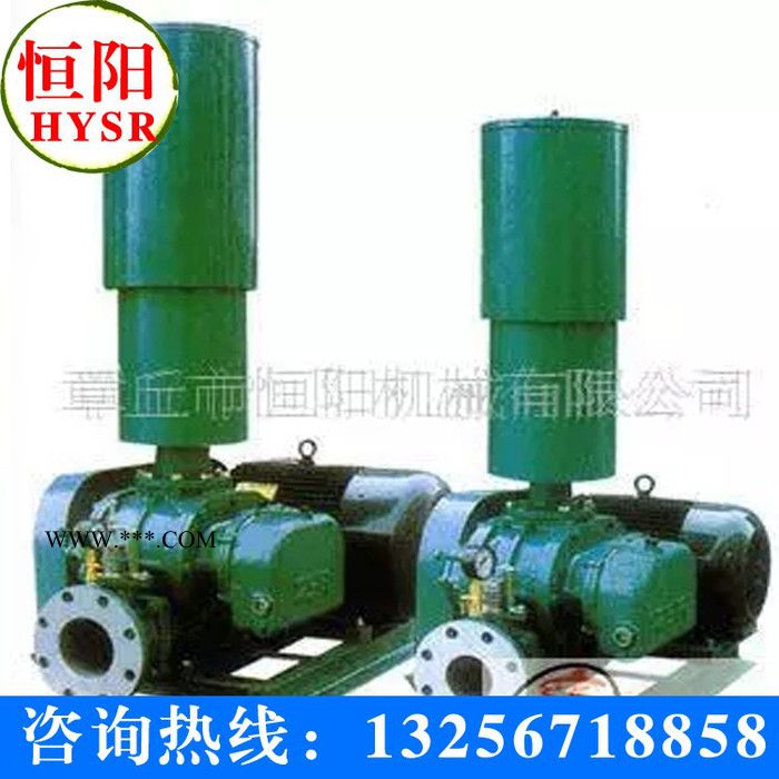 恒阳HYSR50-300三叶罗茨风机 三叶鼓风机 三叶罗茨鼓风机图3