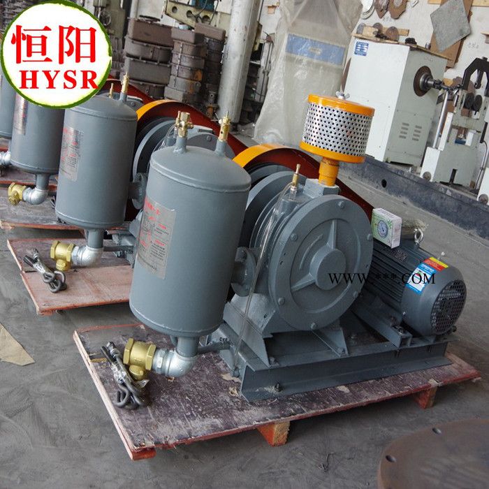 恒阳HYSR50-300三叶罗茨风机 三叶鼓风机 三叶罗茨鼓风机图2