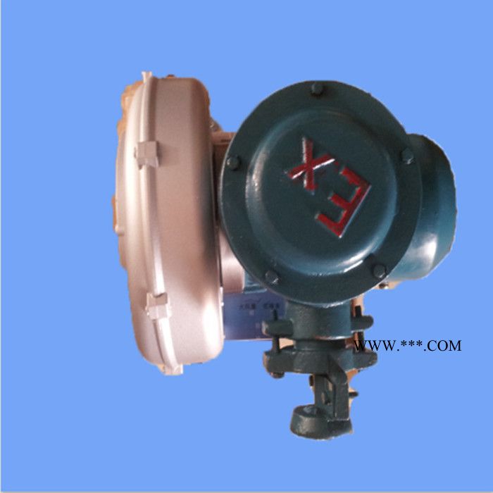 2XB210-H06鼓风机* 0.25KW高压风机现货 耐磨耐高温鼓风机图2