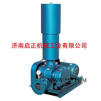 山东罗茨鼓风机参数表图2