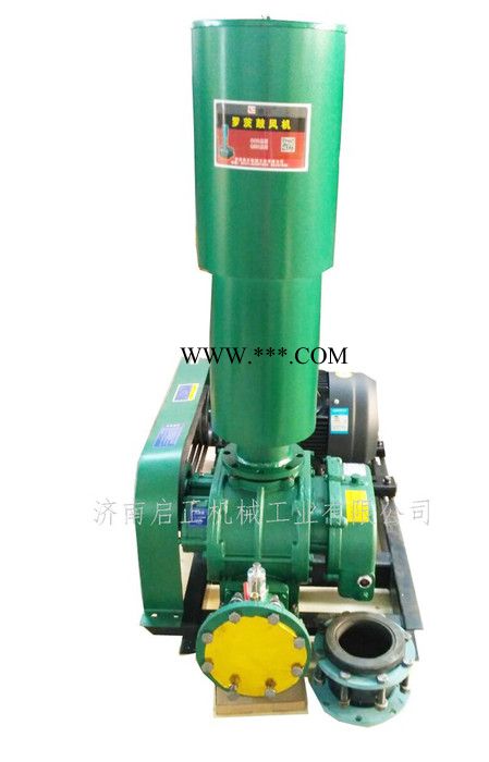 山东罗茨鼓风机参数表图7