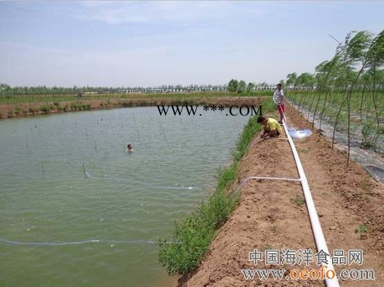 亚士霸风机HG-750S 浙江亚士霸增氧机高压鼓风机图3