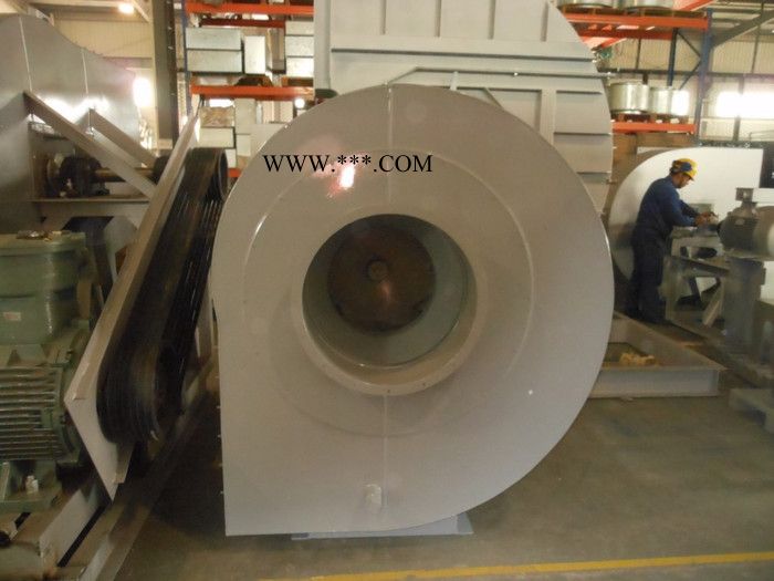 供应巴克杰伊特定制非标各型号进口通风机/鼓风机/引风机/风机图4