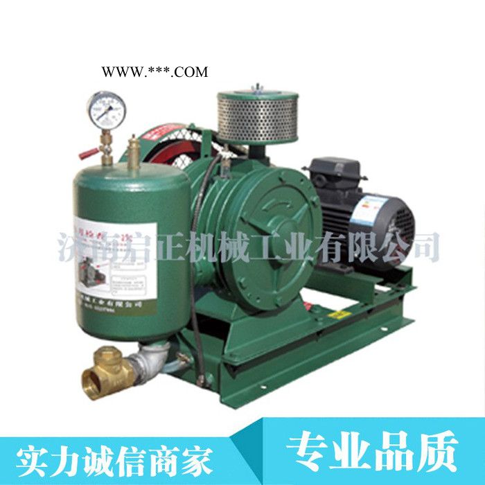 回转式鼓风机尺寸对照表图6