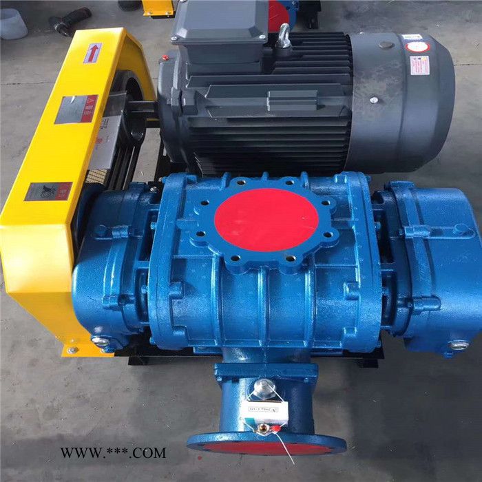 鑫沣XFSR-HC 熔喷布用罗茨鼓风机图5