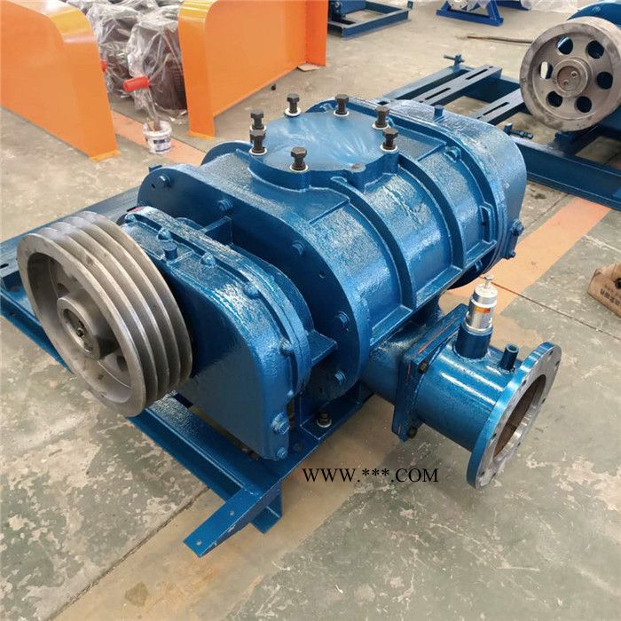 鑫沣XFSR-HC 熔喷布用罗茨鼓风机图8