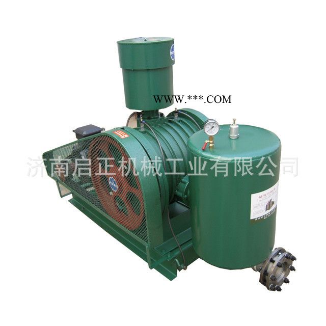 啟正HCC150C 滑片式鼓风机 外形美观厂家供应图7