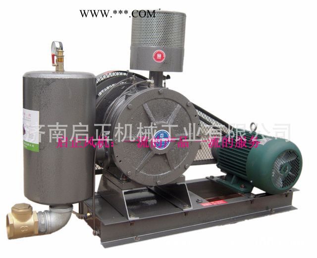 啟正HCC150C 滑片式鼓风机 外形美观厂家供应图3