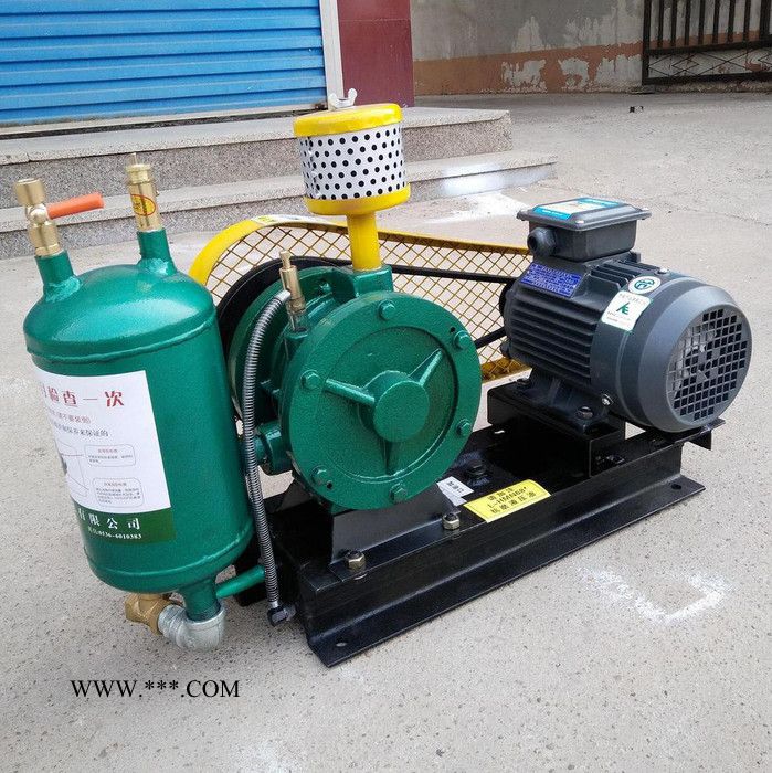 金翊标准 回转风机 风机 回转式鼓风机 济南厂家 现货直供图2