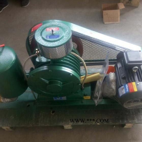 金翊标准 回转风机 风机 回转式鼓风机 济南厂家 现货直供图3