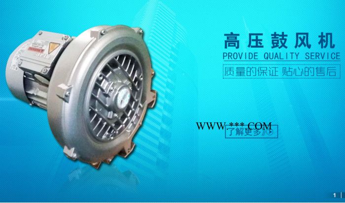 贝富克2XB810-H17高压鼓风机 高压鼓风机**图1