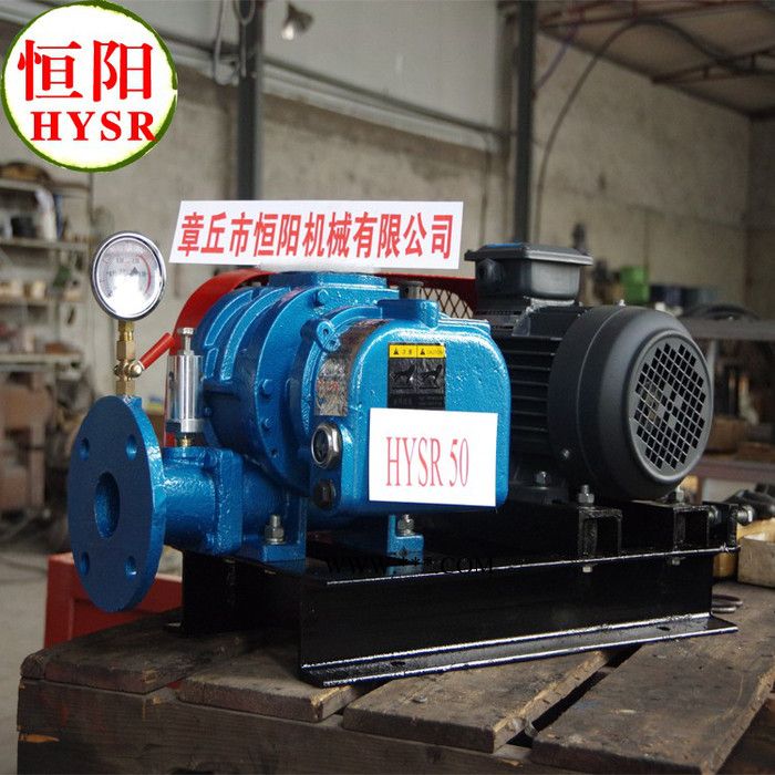 供应恒阳250章丘罗茨鼓风机/罗茨风机图2