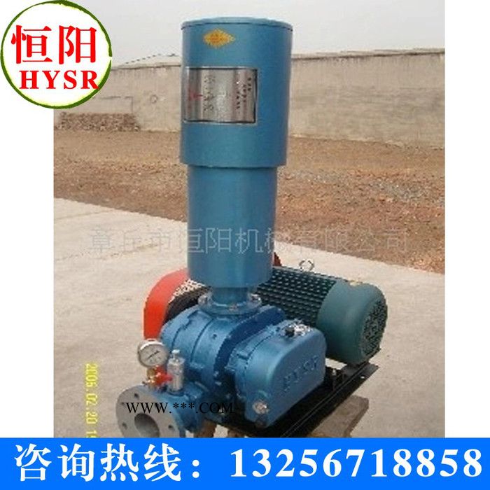 供应章丘低压罗茨风机 三叶罗茨鼓风机图3