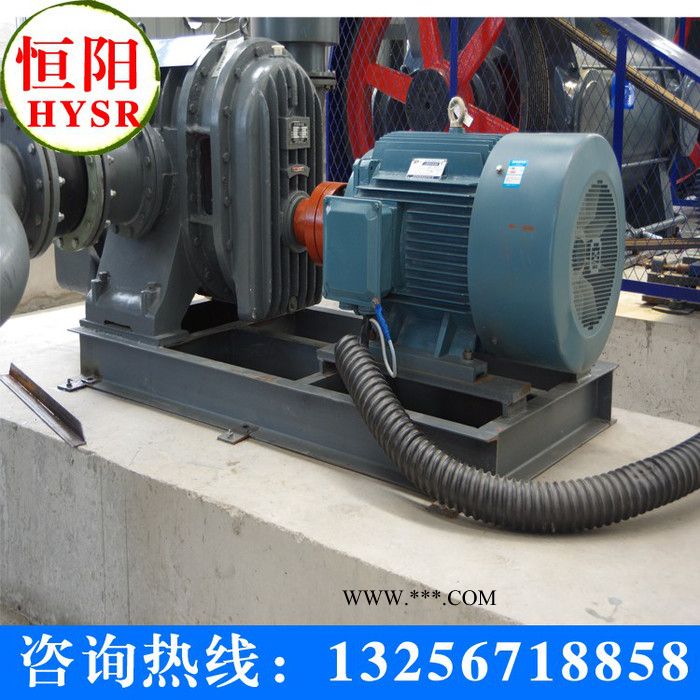 供应HYSR50罗茨鼓风机/三叶罗茨风机/罗茨真空泵/三叶风机‘’图3