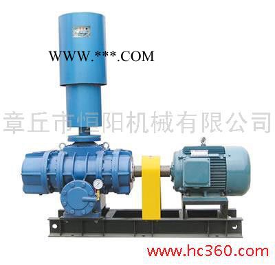 供应恒阳牌100罗茨鼓风机/三叶罗茨风机 罗茨鼓风机/罗茨鼓真空泵图2