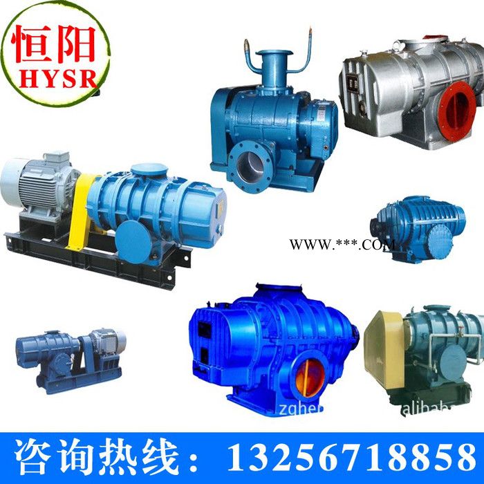 供应恒阳牌HYSR50-300供应明阳牌罗茨鼓风机/罗茨真空泵罗茨鼓风机图2