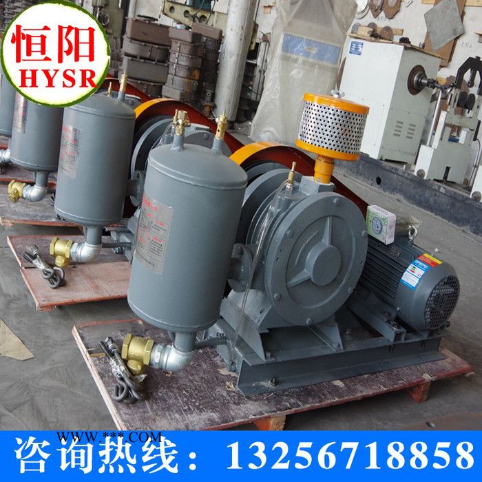 供应恒阳牌HYSR50-300供应明阳牌罗茨鼓风机/罗茨真空泵罗茨鼓风机图3