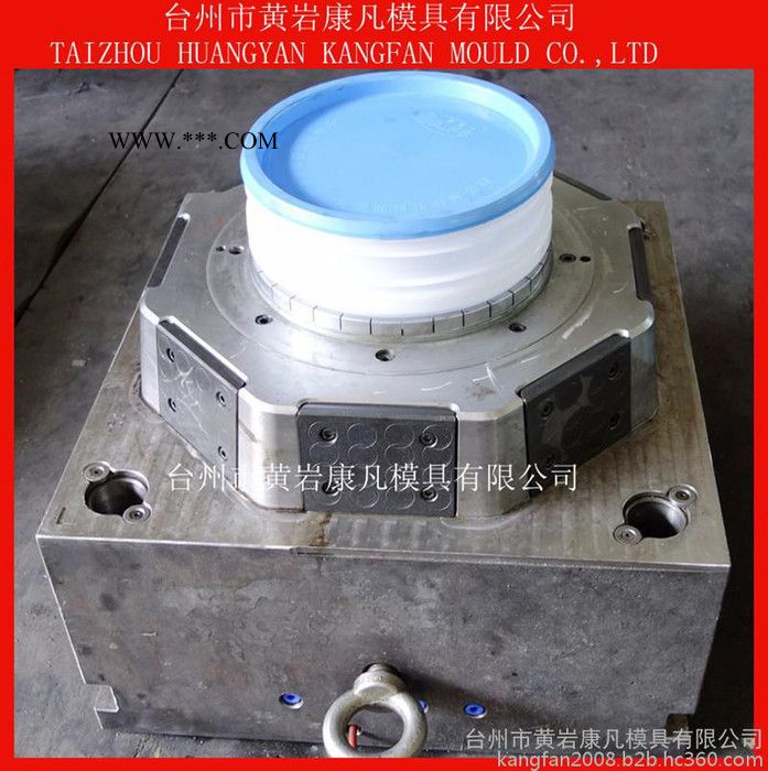 供应注塑模具 5升7升18升20升食品桶模具，润滑脂桶 化工桶模具 专业密封桶模具图5