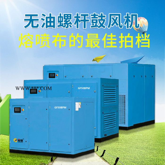 **高效节能螺杆鼓风机 熔喷布专用37/45/55kw无油变频螺杆式鼓风机 1.5公斤13立方无油螺杆鼓风机图4