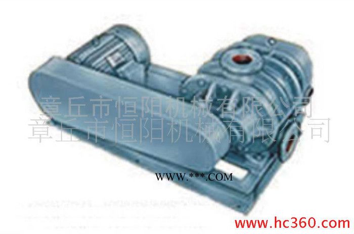 供应恒阳HYSR250章丘罗茨鼓风 三叶罗茨鼓风机图2