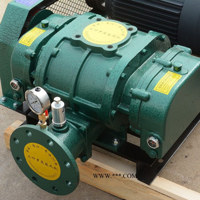 供应启正CCR150罗茨风机 大风量高压力罗茨鼓风机 耐磨罗茨风机图3