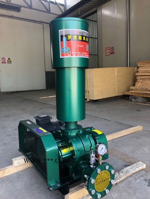 供应启正CCR150罗茨风机 大风量高压力罗茨鼓风机 耐磨罗茨风机图2