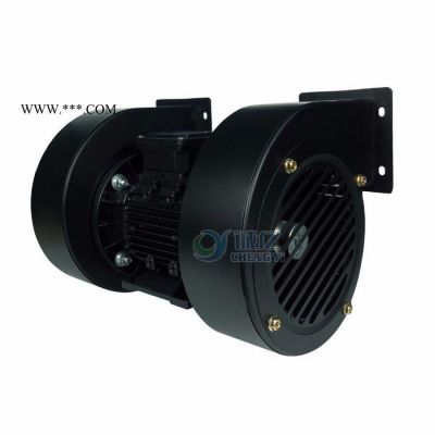 供应CY100双头鼓风机（出口产品转内销质量好）