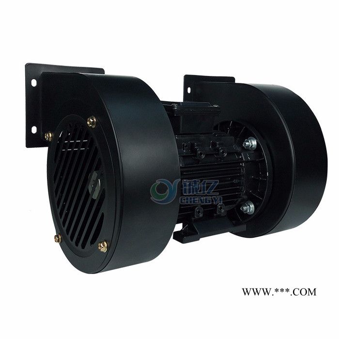 供应CY100双头鼓风机（出口产品转内销质量好）图5