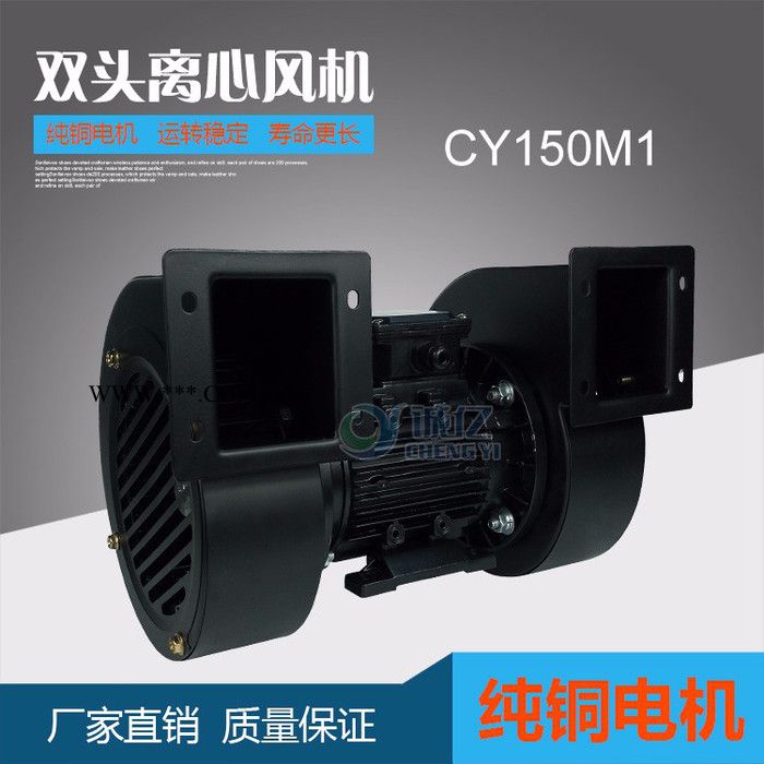 供应CY100双头鼓风机（出口产品转内销质量好）图4