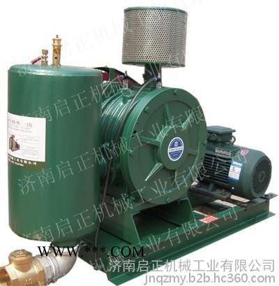 供应启正 HCC回转风机 回旋式鼓风机图4