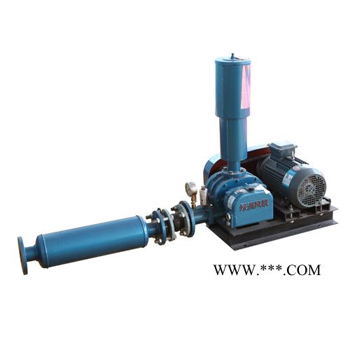 章丘鼓风机厂家供应三叶罗茨鼓风机水产养殖气力输送风机风量大效率高图2