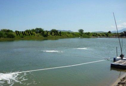 亚士霸风机HG-3000S 增氧机高压旋涡鼓风机图2