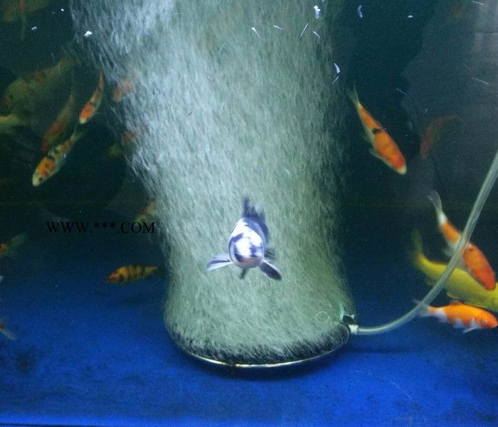 亚士霸HG-3800S 浙江亚士霸旋涡风机高压鼓风机图3