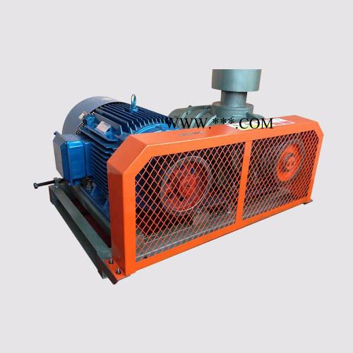 低压罗茨风机 YGSR-100A罗茨风机  鼓风机用途图3